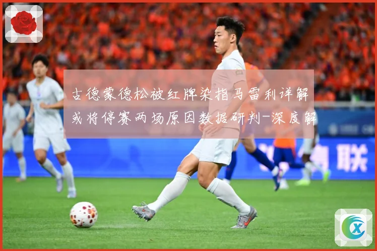 古德蒙德松被红牌染指马雷利详解或将停赛两场原因数据研判-深度解析