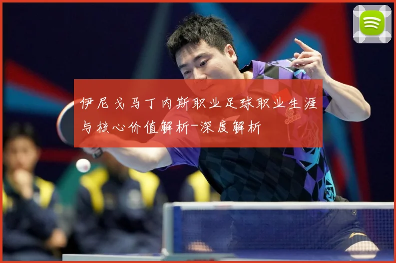 伊尼戈马丁内斯职业足球职业生涯与核心价值解析-深度解析
