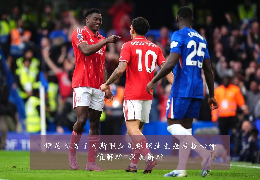 伊尼戈马丁内斯职业足球职业生涯与核心价值解析-深度解析