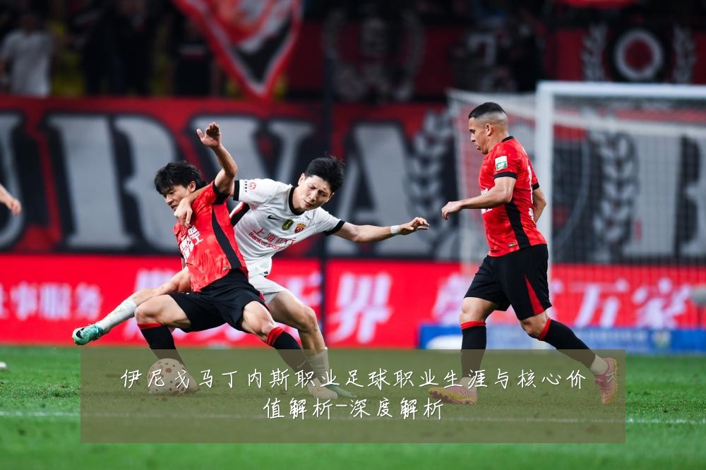 伊尼戈马丁内斯职业足球职业生涯与核心价值解析-深度解析